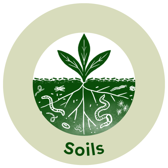 soil icon