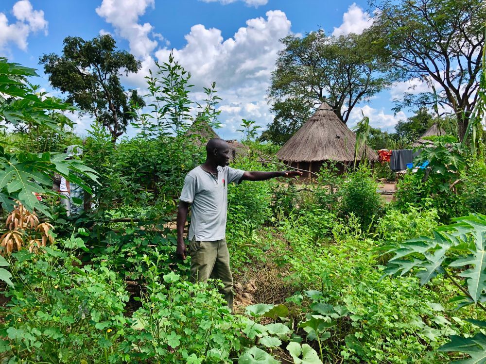 Man standing in the middle of a permagarden that has a variety of plants and trees