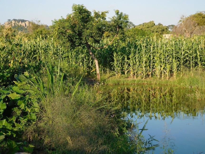 Image Resource - Smallholder Farm Zimbabwe