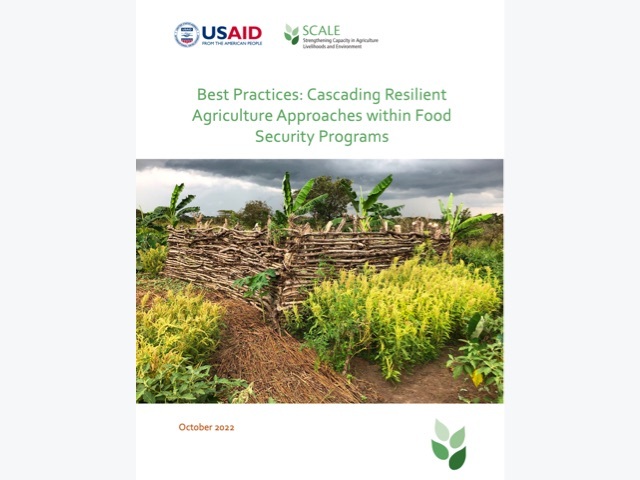 This document presents a set of best practices for program staff to consider when cascading resilient agriculture approaches to partner organizations, agricultural extension staff and farming communities.
